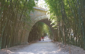 Mercredi visite du parc de La Bambouseraie à Anduze