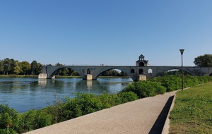 Jeudi matin le Pont D'Avignon