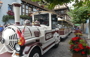 Visite Obernai en petit train