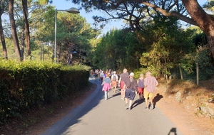 Randonnée de St Jean de Luz, le long du litoral vers Urrugne avec la traversée de la baie en bateau