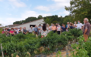 Visite à Espelette d'un cultivateur de piment et l'atelier de fabrication